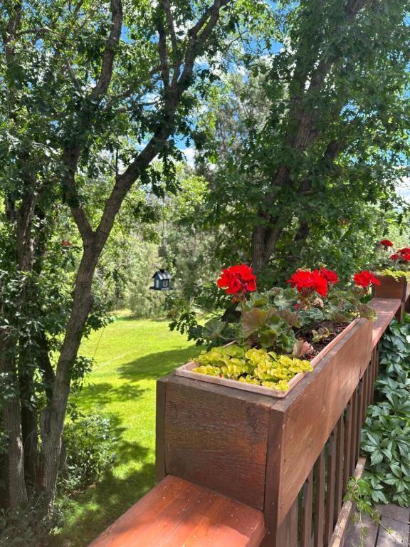 Country Sunshine Bed And Breakfast Hermosa Exterior photo